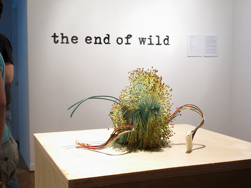 The End of Wild