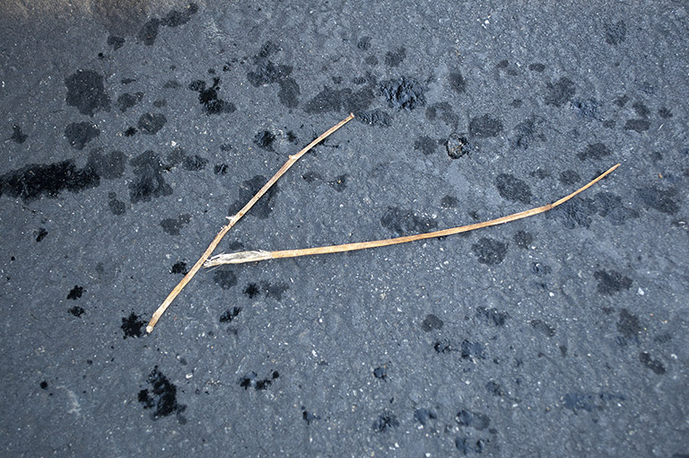Broken Tech Twig Cement